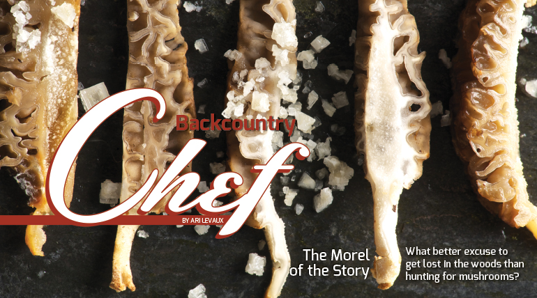 The Morel of the Story