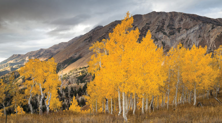 Autumn at Altitude